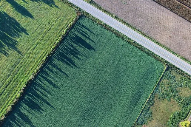 You Can Always Do Better: Detox from The Farm