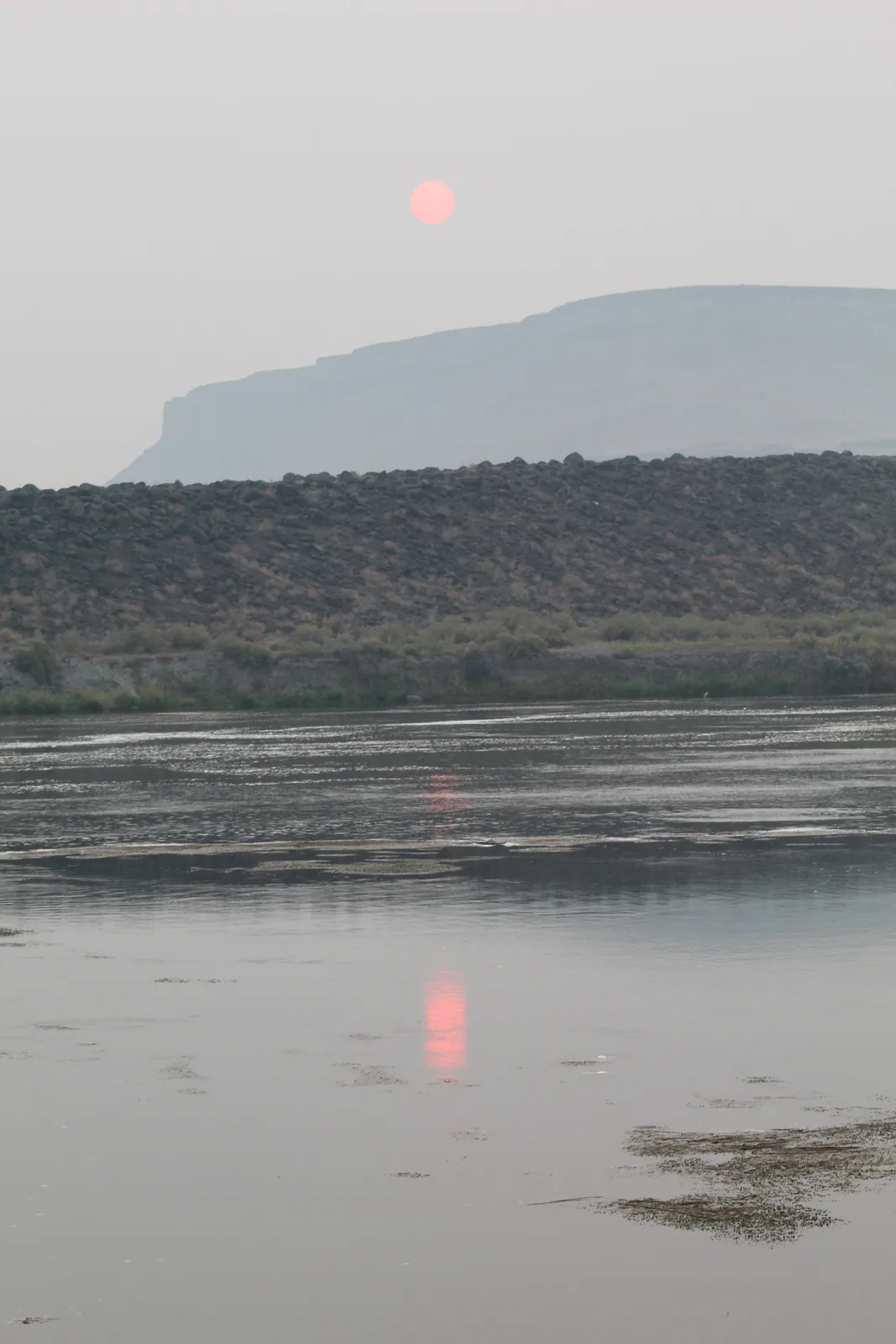 A Smokey Sunrise at Celebration Park