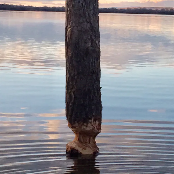 balance-friday-44-02