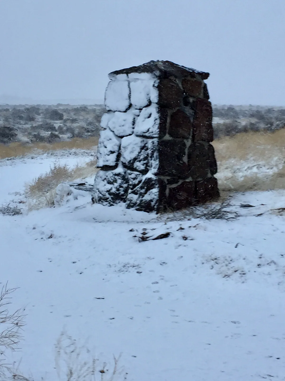 How Do You React to Your First Look at Winter?