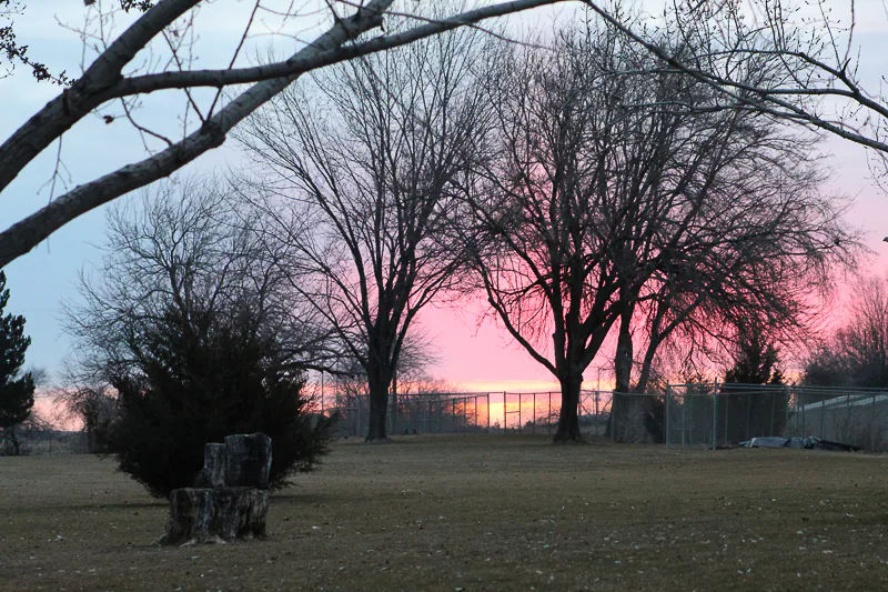 The Beauty of Winter
