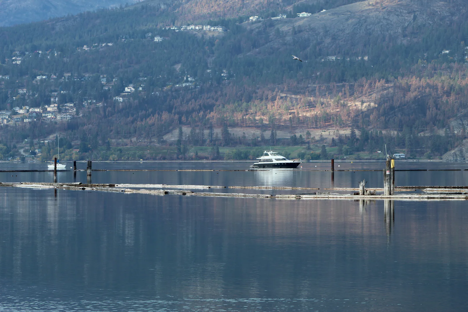Lake Okanogan, Kelowna, BC, Ken Swaim