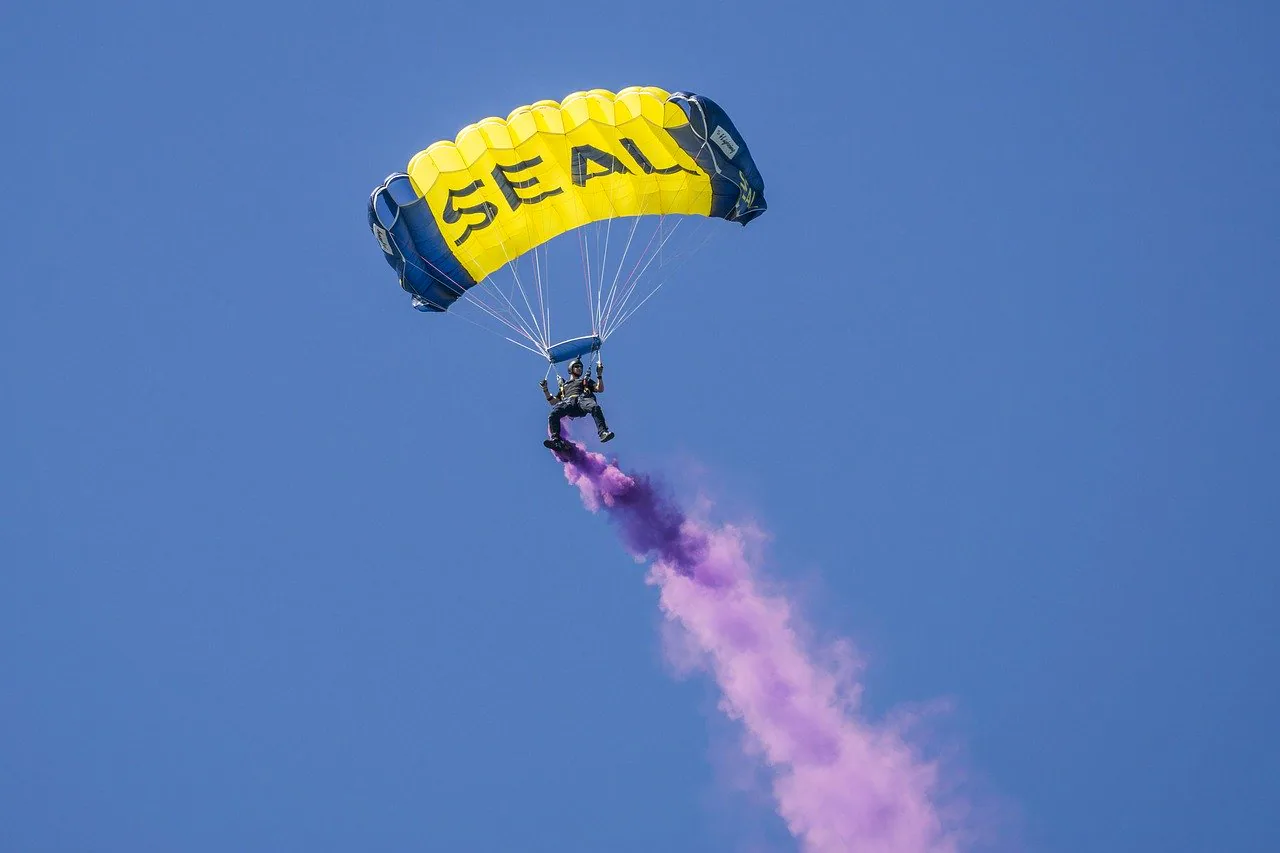 Learn from the Seals