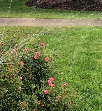 sprinklers-and-rain-02