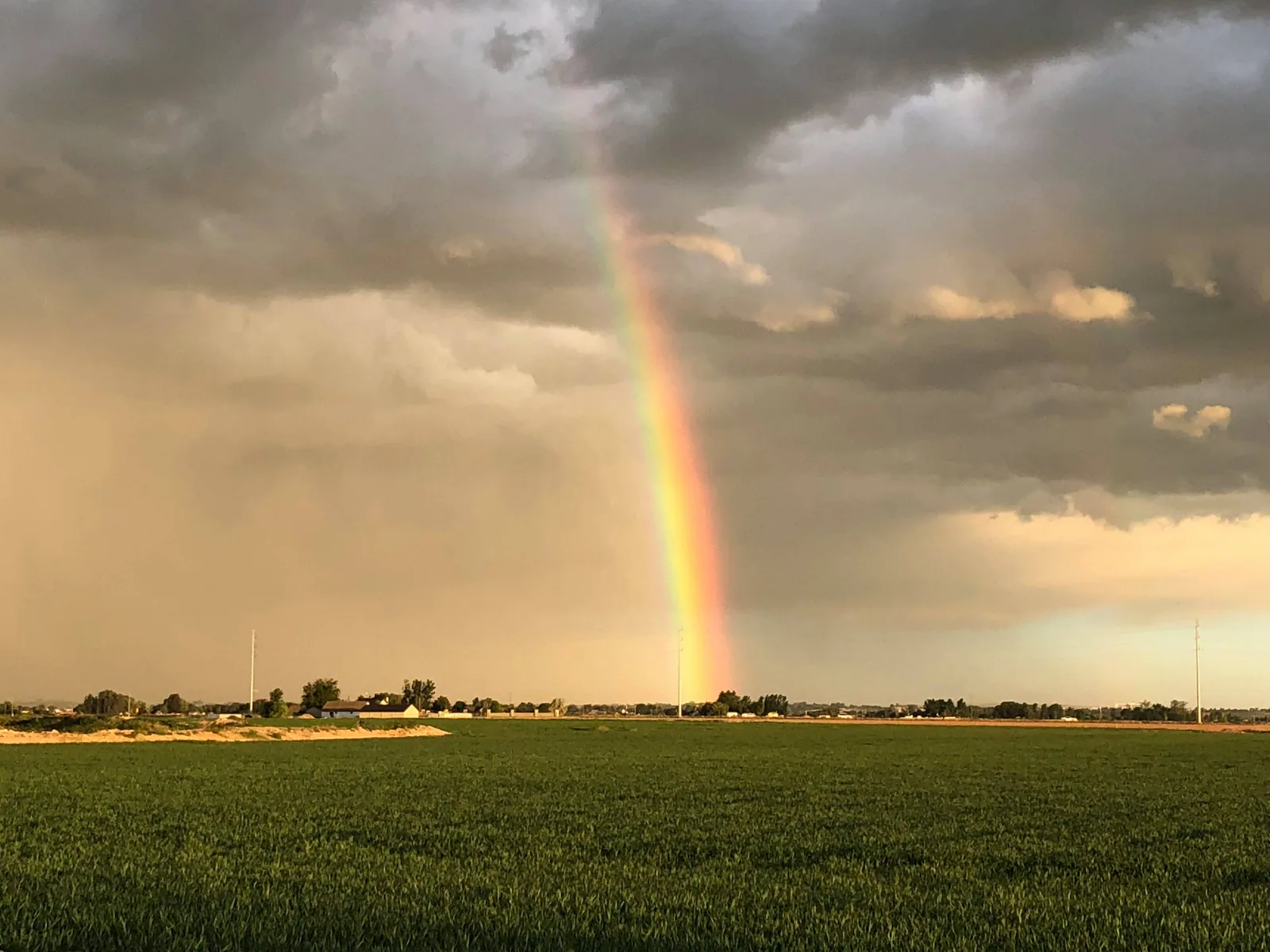 Foto Friday: How Can You Be Inspired Today?