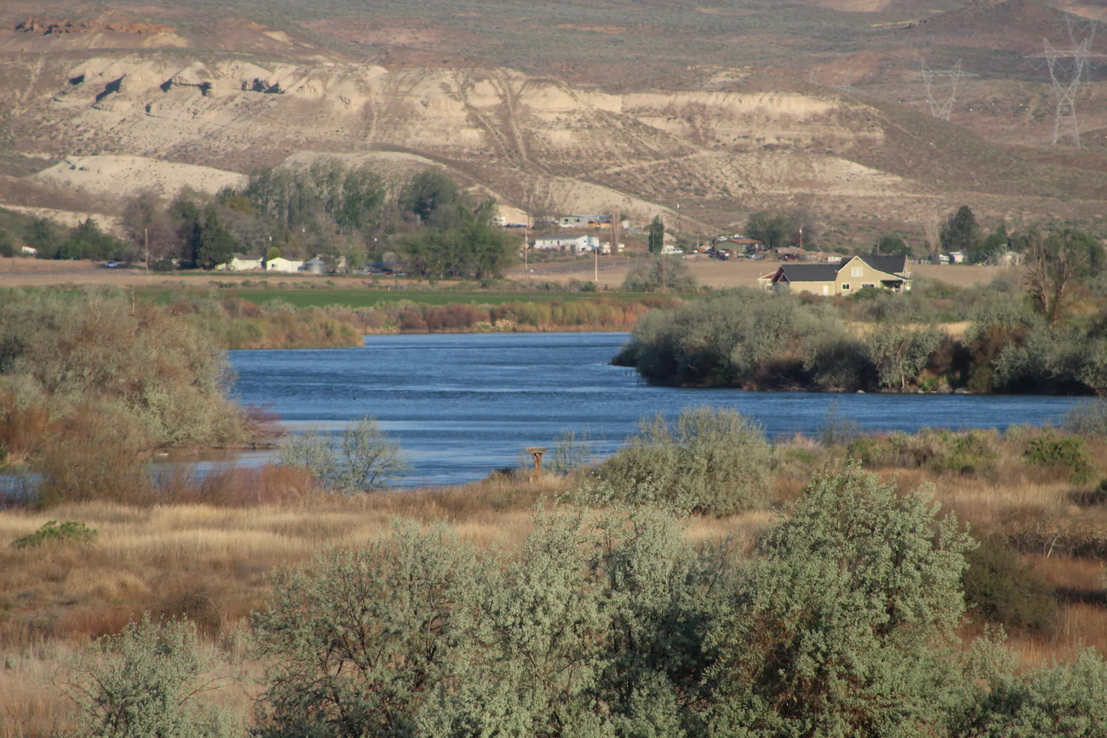 houses on the snake