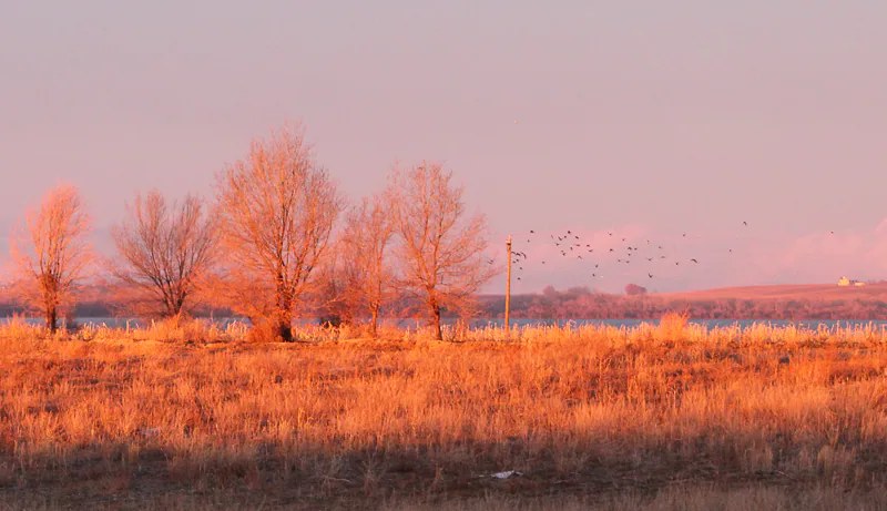 Sunrise on Trees Lake Lowell, Ken Swaim 01-10-21