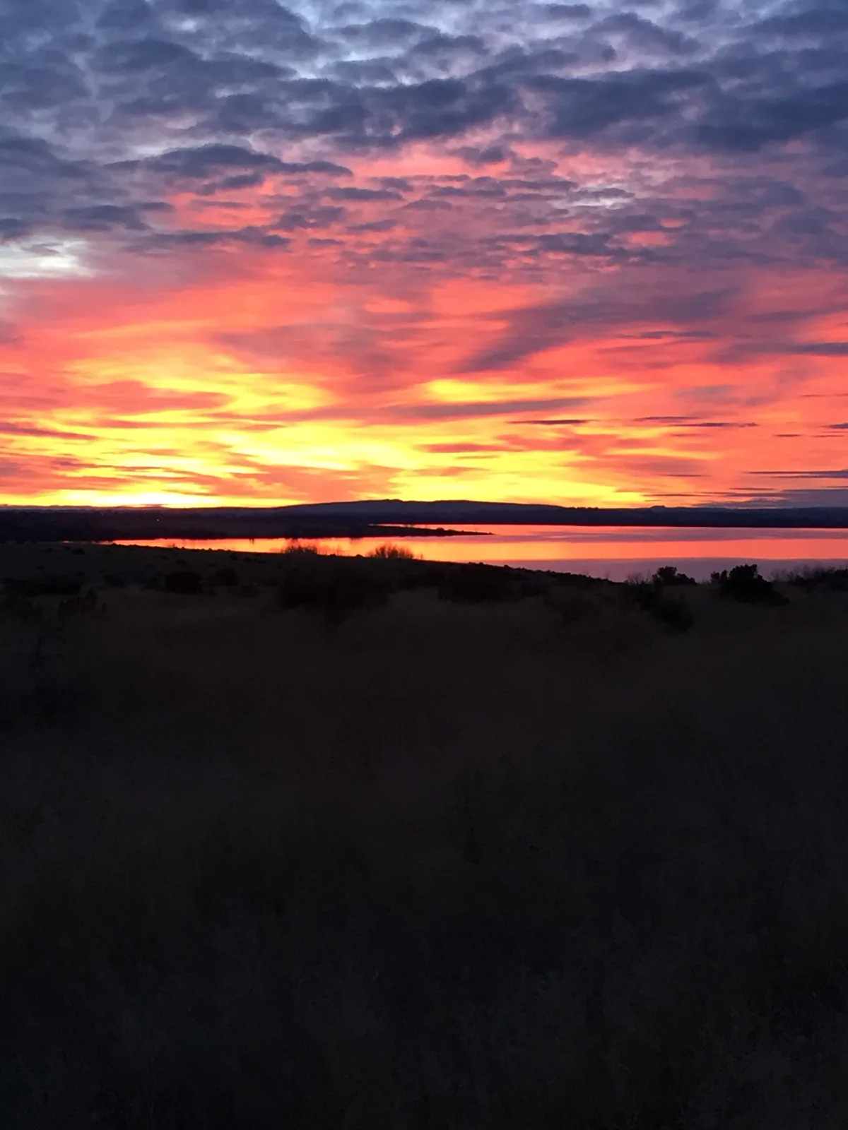This Morning at the Lake