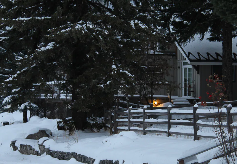 Cabin Light - Ken Swaim, 11-2020