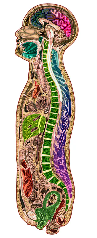 Chiropractic 103: It Ain't What It Seems