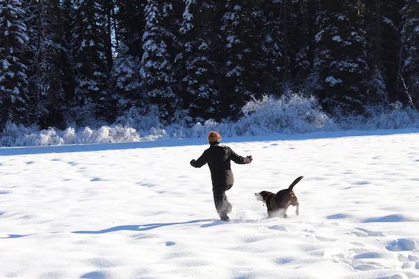 Ken Swaim - Abbey and Annie in Meadow Marsh, 11-29-20