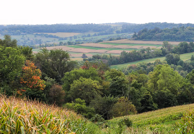North East Iowa Farmland - Ken Swaim, 9/13/21