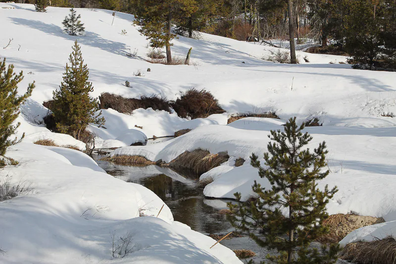Creek Flowing Into Cascade Lake - Ken Swaim 3/7/21
