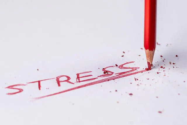 STRESSED? WHAT STRESS? I'M NOT STRESSED!