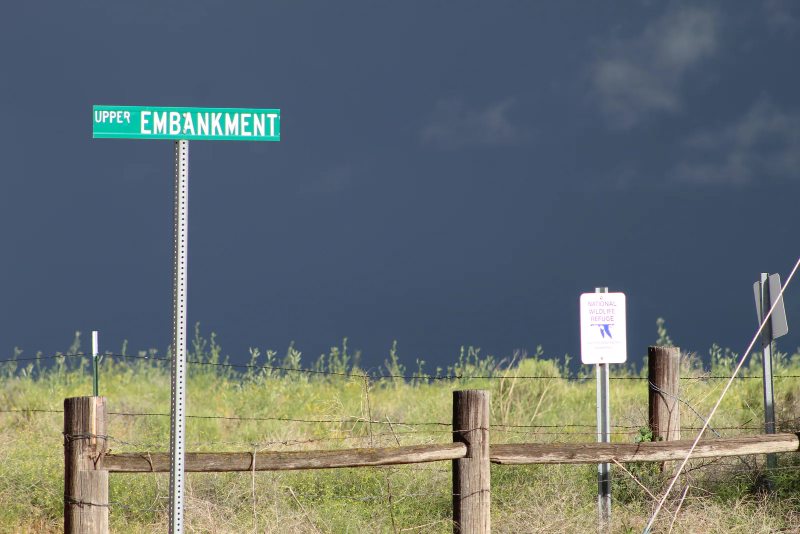 Another Rainy Sunday in June - 6/14/20