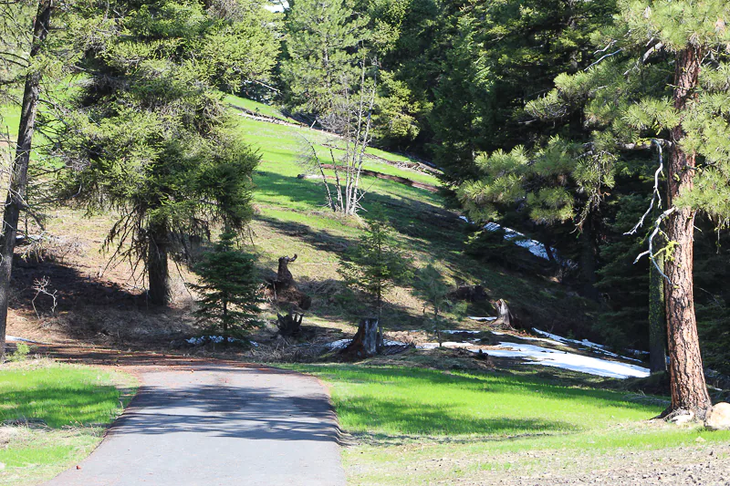 Ponderosa State Park, Ken Swaim - 5/2/21