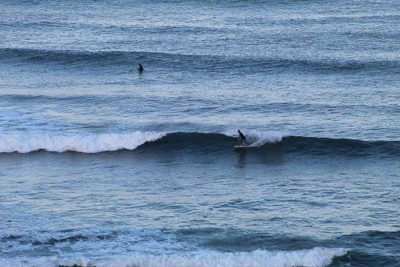 Point Loma - Ken Swaim, 02/28/21