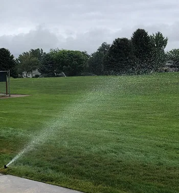 A Curious Time of Year! Sprinklers and Rain...