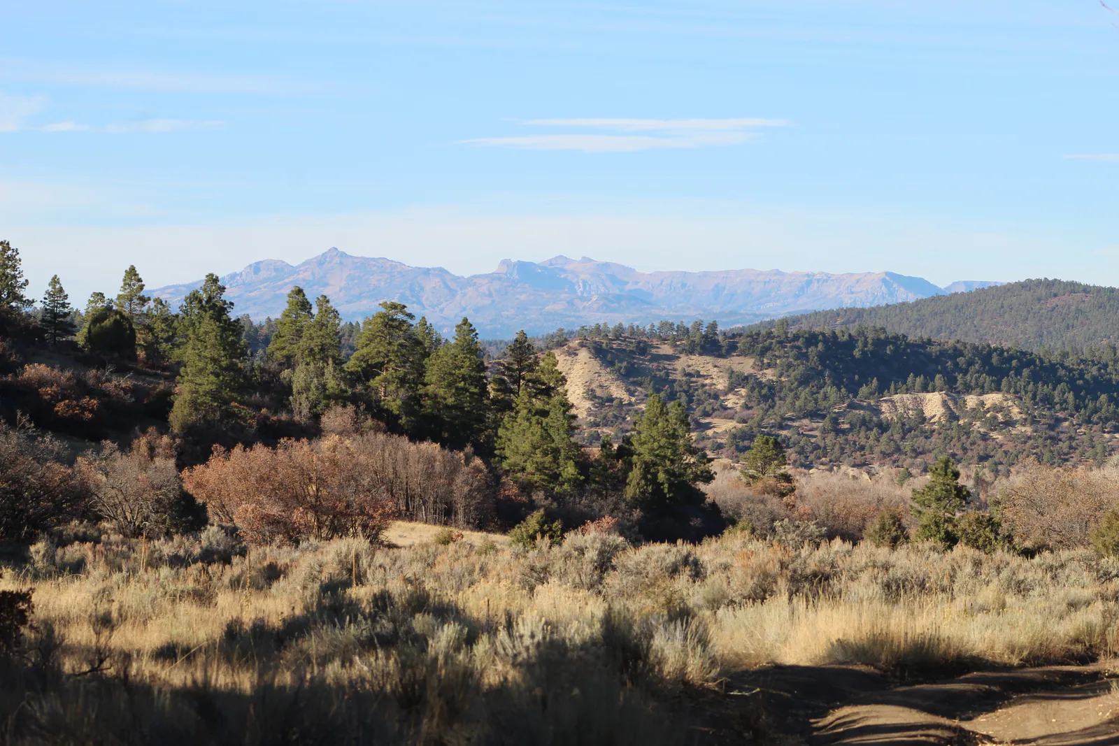 New Mexico & British Columbia Photo Blog