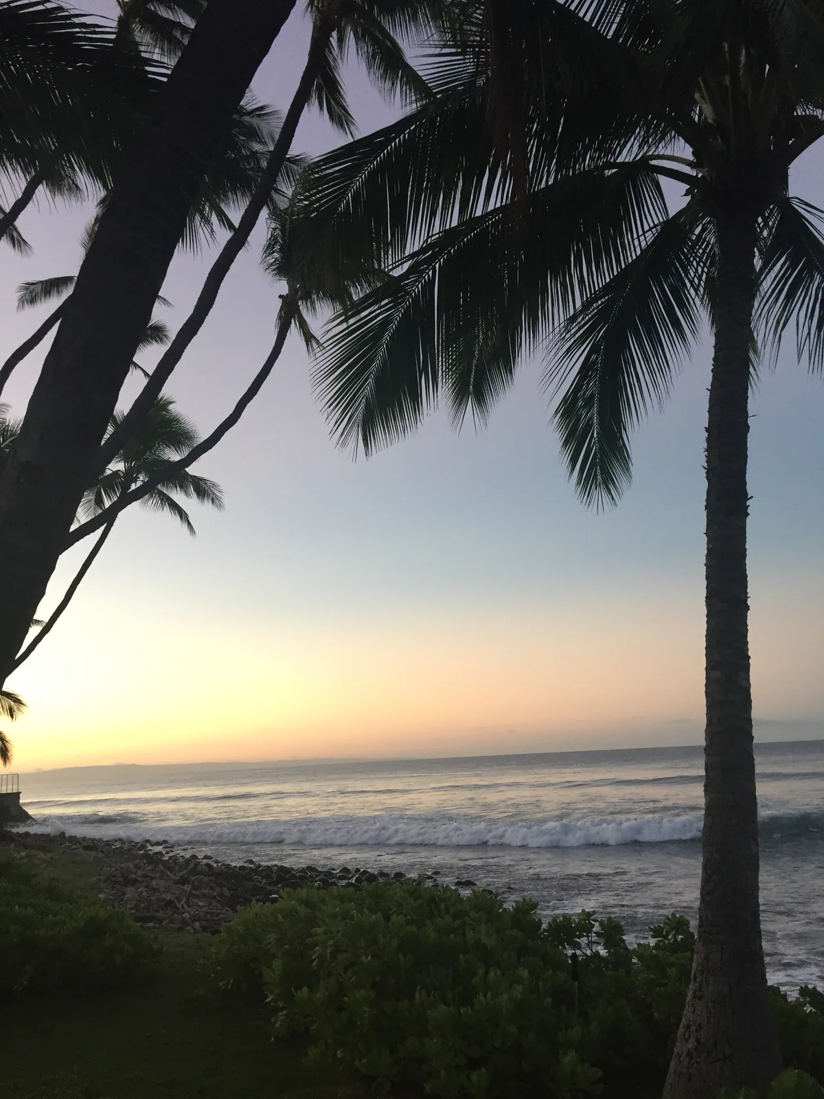 Foto Friday: Maui, Awww...