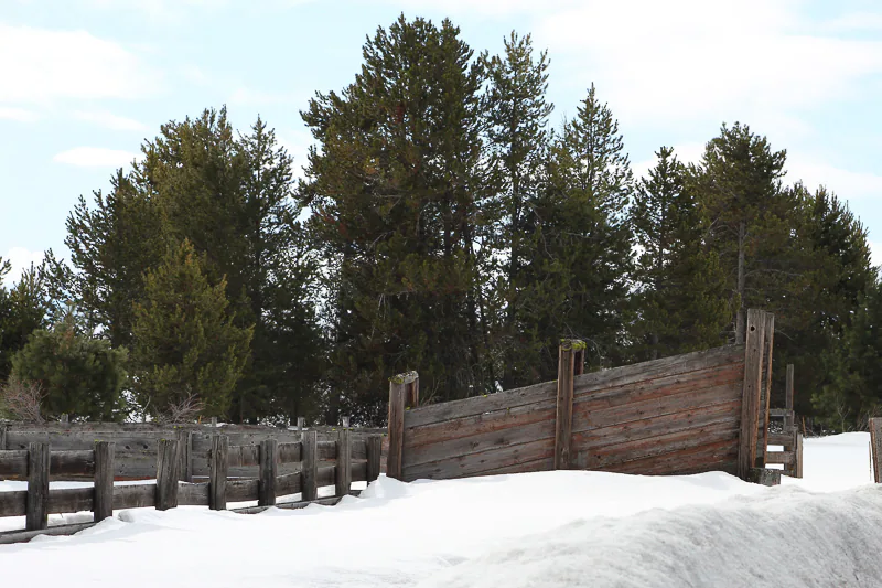 Cattle Chute McCall - Ken Swaim 3/7/21